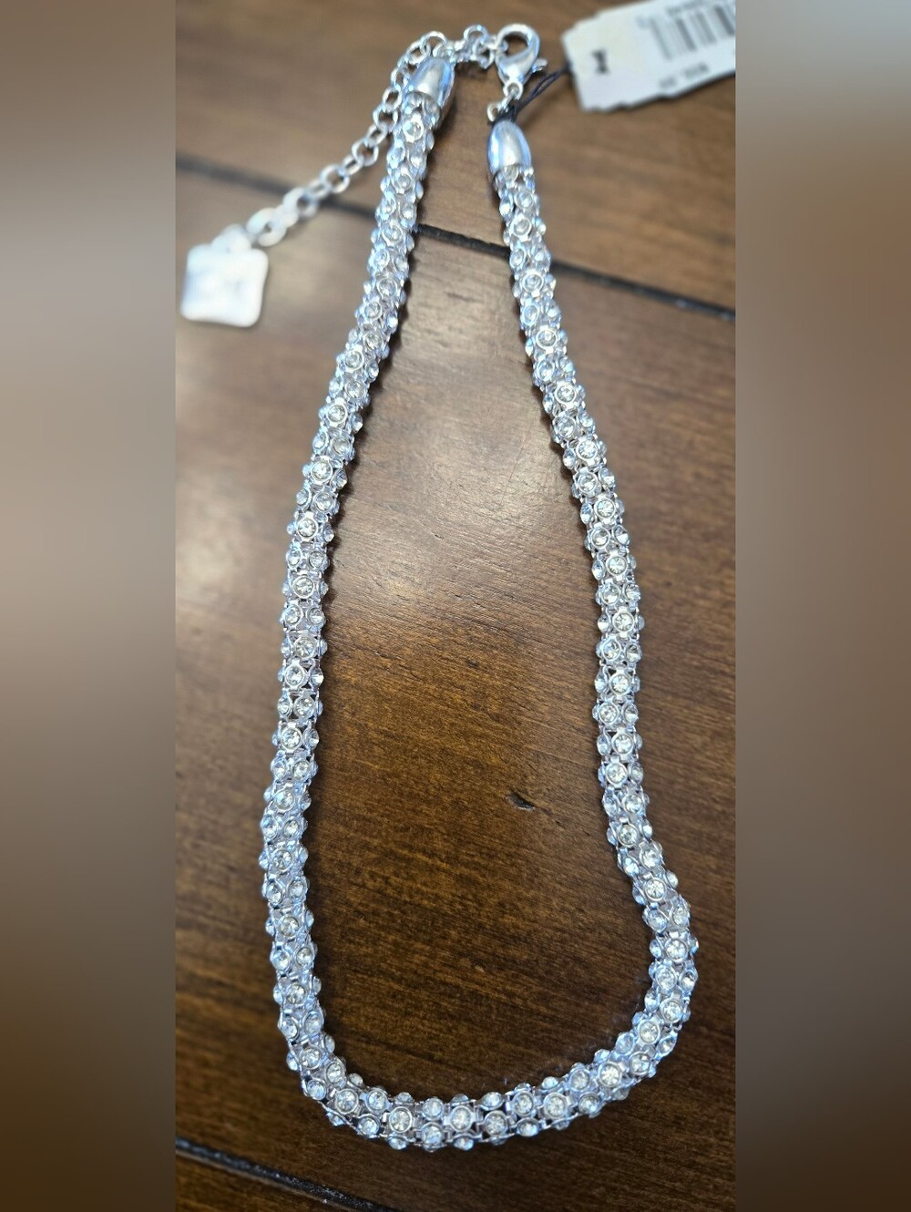 Anne Klein Clear Crystal Rope Necklace in Silver-Tone